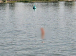 Плавающий в Дону эрегированный мужской орган стал одной из «главных фишек» Дня города в Ростове