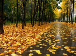 Пасмурным небом и повышенным давлением порадует ростовчан погода в середине недели