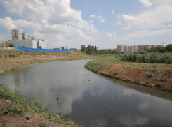 В Ростове на Северном может появиться новый парк