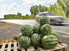 Отравленными арбузами и дынями торговал на обочине автострады житель Ростовской области