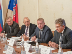 В 2016 году в Ростове станет больше живых изгородей и цветов