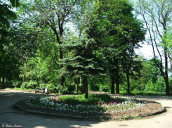 Распрощаться с четвертью гектара земли в парке Собино придется ростовской епархии