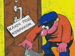В Зимовниковском районе наивный житель оставил грабительнице ключи от дома