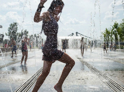 Теплый и ясный воскресный выходной обещают синоптики жителям Ростова