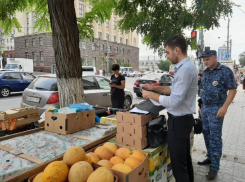 Власти Ростова объявили войну несанкционированной торговле