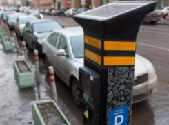 Возмущенные ростовчане требуют снизить стоимость платной парковки в центре города