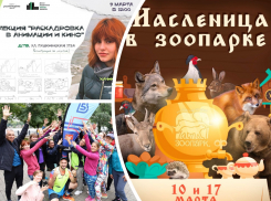Встречаем Масленицу, учимся раскадровке и бегаем «5 верст»: куда пойти в Ростове на этой неделе