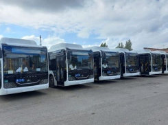 Власти Ростовской области закупят около 200 новых автобусов в 2023 году 