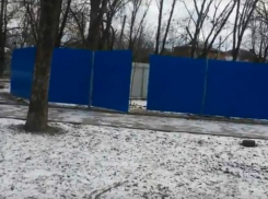 Скандал со спилом деревьев в ростовском сквере не остановил строителей