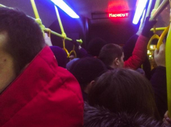Давка в автобусах Северного сводит людей с ума: пенсионерка устроила проповедь на маршруте 47