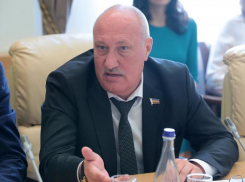 Депутат Сергей Косинов собрался на пост сити-менеджера Ростова