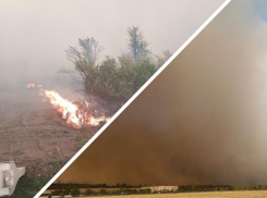 В Усть-Донецком районе лесной пожар перекинулся на жилые дома