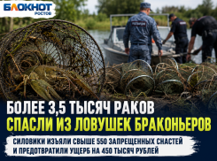 Тысячи раков попались в сети браконьеров: в Ростовской области изъяли более 550 ловушек