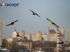 В Ростове ожидается резкое потепление до +20 градусов 