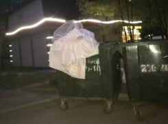 Отгулявшая свое «невеста» в мусорном баке до слез рассмешила жителей Ростова