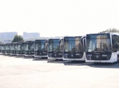 На маршруты выйдут 10 новых автобусов в Ростове 