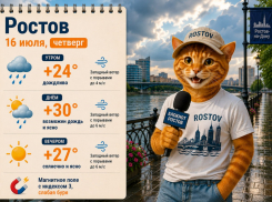До +30 градусов и кратковременный дождь ждет Ростов 16 июля
