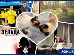 Изучаем «поэзию цвета», смотрим матч «Ростова» на стадионе и учимся целоваться: куда пойти в Ростове на этой неделе