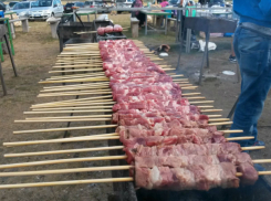 В холодильники и тарелки дончан залезут дотошные специалисты-счетоводы из Ростова