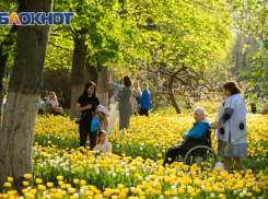 Росстат сообщил о росте числа богатых семей в Ростовской области