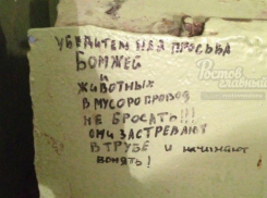 Не выбрасывать в мусоропровод бомжей и животных умоляют жители Ростова
