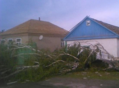 По 10 тысяч рублей получат жители Дона, пострадавшие от урагана