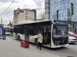 В Ростове на маршруты выйдут новые «гармошки»