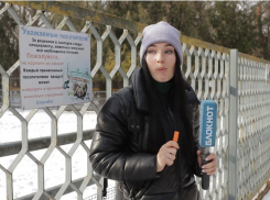 За досуг заплатите чеканной монетой: где в Ростове бюджетно отдохнуть в выходные