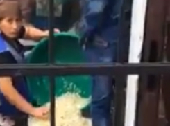 Чудесное рождение фирменной начинки для шаурмы «с земли» обескуражило ростовчан на видео