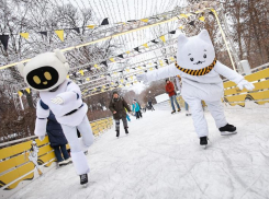 Коньки в качестве зимнего отдыха чаще выбирают люди в возрасте от 30 до 45 лет