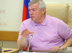 «Кингкоул», ТагАЗ и «Евродон»: что произошло с предприятиями, которым «помог» губернатор Голубев