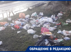«Собаки растаскивают пакеты»: жители Ростовской области пожаловались на несвоевременный вывоз мусора