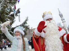 Спрос на Деда Мороза и Снегурочку вырос в Ростовской области 