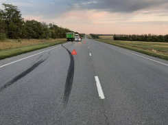 На трассе в Ростовской области «Камаз» насмерть сбил пешехода 