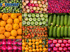 Ростовчан приглашают за новогодним угощением, елками и подарками на ярмарку «Гарант-Торг»