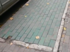Газон из покрашенной в зеленую краску плитки и «рекламное» дерево в центре Ростова довели до бешенства горожан
