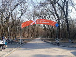 В ростовском парке Авиаторов пройдут раскопки на местах массовой казни в годы войны