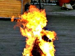 Серьезно пострадал в неравной битве с осиным гнездом мужчина в Ростове