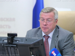 Губернатор продолжает мечтать о канатной дороге над Доном в Ростове