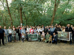 Жители Ростова через суд хотят спасти рощу СКА от вырубки и застройки