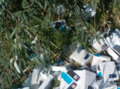 Гора распотрошенных коробок от сотовых телефонов на трассе под Ростовом бесследно исчезла