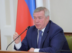 Голубев пообещал многодетным семьям микроавтобусы