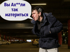 В позорную дестяку самых матерящихся городов страны уверенно воошел Ростов