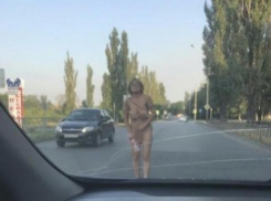 Совершенно голая леди вышла навстречу приключениям на дороге в Ростовской области