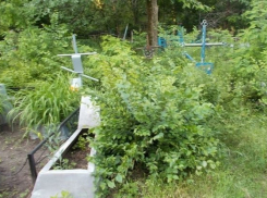 В Ростовской области прокуратура не дает властям узаконить кладбище