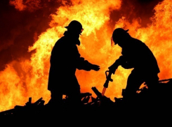 На месте пожара возле Театральной площади в Ростове будет построен детский сад 