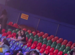 Тигр перепрыгнул в сторону зрителей во время представления в цирке на Нагибина