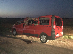 В Ростовской области вылетевшее из грузовика бревно снесло крышу минивэну