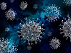 За сутки в Ростовской области выявлено 124 случая коронавируса