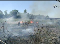 В Ростове полыхает камыш